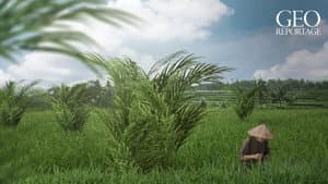 ARTE 360° Reportage — foto 3