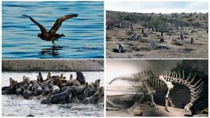Patagonien 3D - Auf den Spuren von Charles Darwin: Von Buenos Aires bis Cabo dos Bahias — foto 1