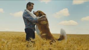 La Razón De Estar Contigo 2: Un Nuevo Viaje — foto 11