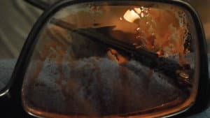 Fangs — foto 1