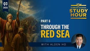 Episodio 6