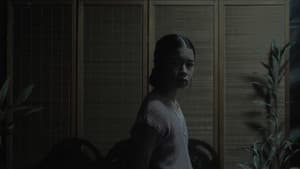 TIRA-TIRA — foto 2