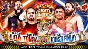 NJPW Wrestle Kingdom 14: Night 1 — foto 7