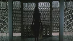 緯度0大作戦 — foto 7