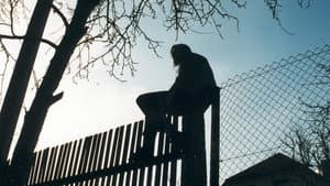 Über die Grenze - Fünf Ansichten von Nachbarn — foto 1