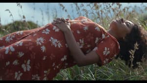 Spying Stars — foto 3