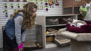 Grumpy Cat's Worst Christmas Ever — foto 8