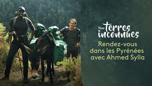 Episodio 4