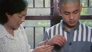 少年犯 — foto 2
