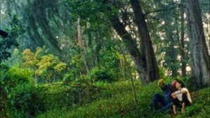 Durian, Durian — foto 1