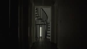 Light From the Tower — foto 4