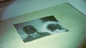 Ir y Volver — foto 1