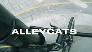 Alleycats — foto 2