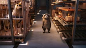 Mascotas al Rescate — foto 11