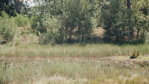 En Plein Air — foto 1