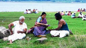 கொம்புசீவி — foto 3