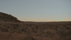 Blue Dusk — foto 1