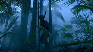 Kokoda — foto 9