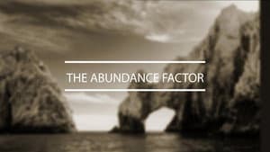 The Abundance Factor — foto 1