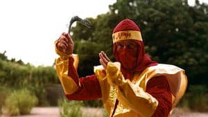 Cobra Against Ninja — foto 1