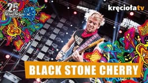 Black Stone Cherry - Pol'and'Rock Festival 2019 — foto 1