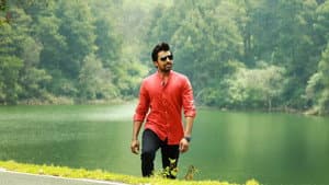 డార్లింగ్ — foto 8