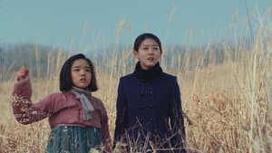 눈길 — foto 1