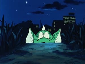 Episodio 29
