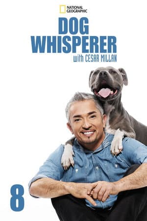 Temporada 8