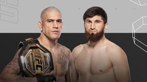 UFC 313: Pereira vs. Ankalaev — foto 5
