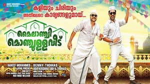 മൈലാഞ്ചി മൊഞ്ചുള്ള വീട് — foto 2