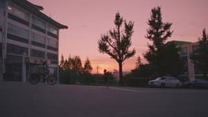 남매의 여름밤 — foto 1