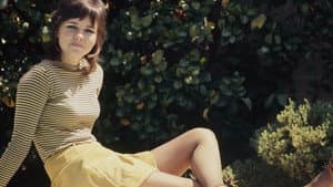 Maybe I'll Come Home in the Spring — foto 2