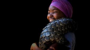 Gorongosa: Paradise Reborn — foto 1
