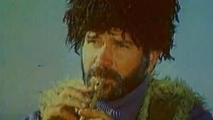 Dvorjakın Melodiyası — foto 1