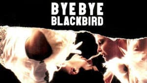 Bye Bye Blackbird — foto 10