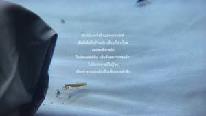 The Year of the Everlasting Storm — foto 1