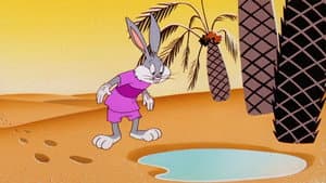 Sahara Hare — foto 2