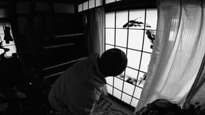 まる — foto 7