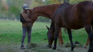 Un cavalier, un rêve, Boucane — foto 1