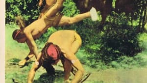 Indian Paint — foto 1