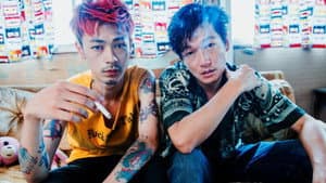 ニワトリ★スター — foto 1