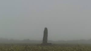 A Year in a Field — foto 1