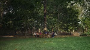 Concerto de Quintal — foto 1