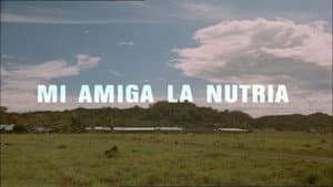 Episodio 17