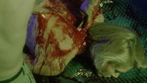 Skinner — foto 6