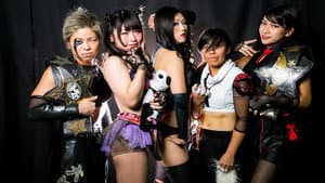 STARDOM NEWYEAR STARS2018～スターダム７周年記念日～ — foto 5