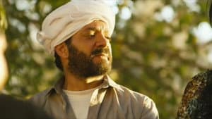 القشاش — foto 6