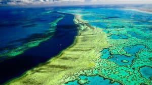 La gran barrera de coral con David Attenborough — foto 8
