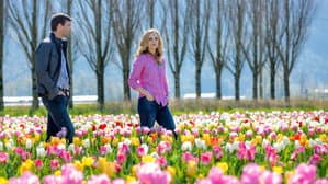Tulipanes en primavera — foto 7